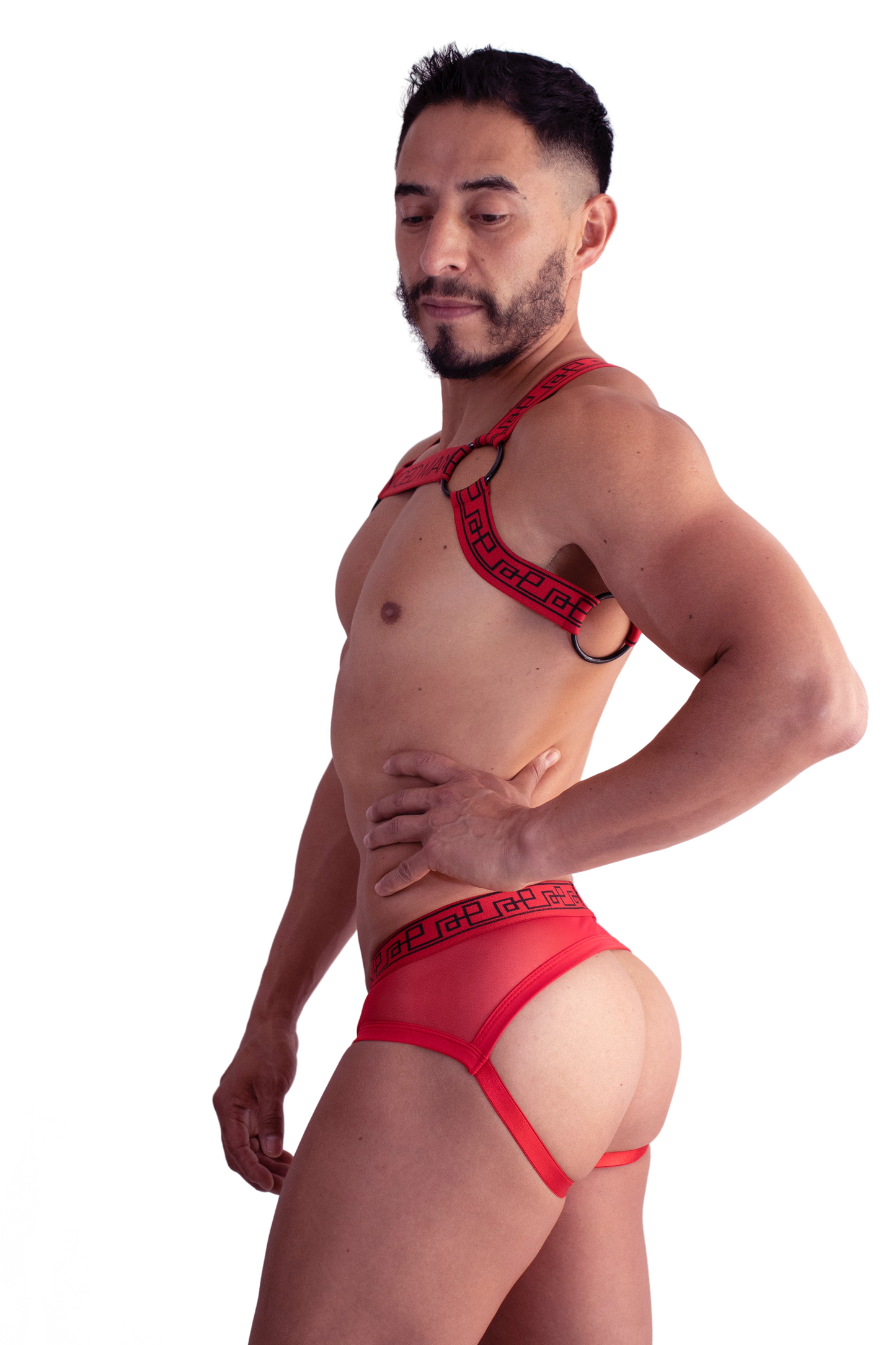 Spider Coleccion